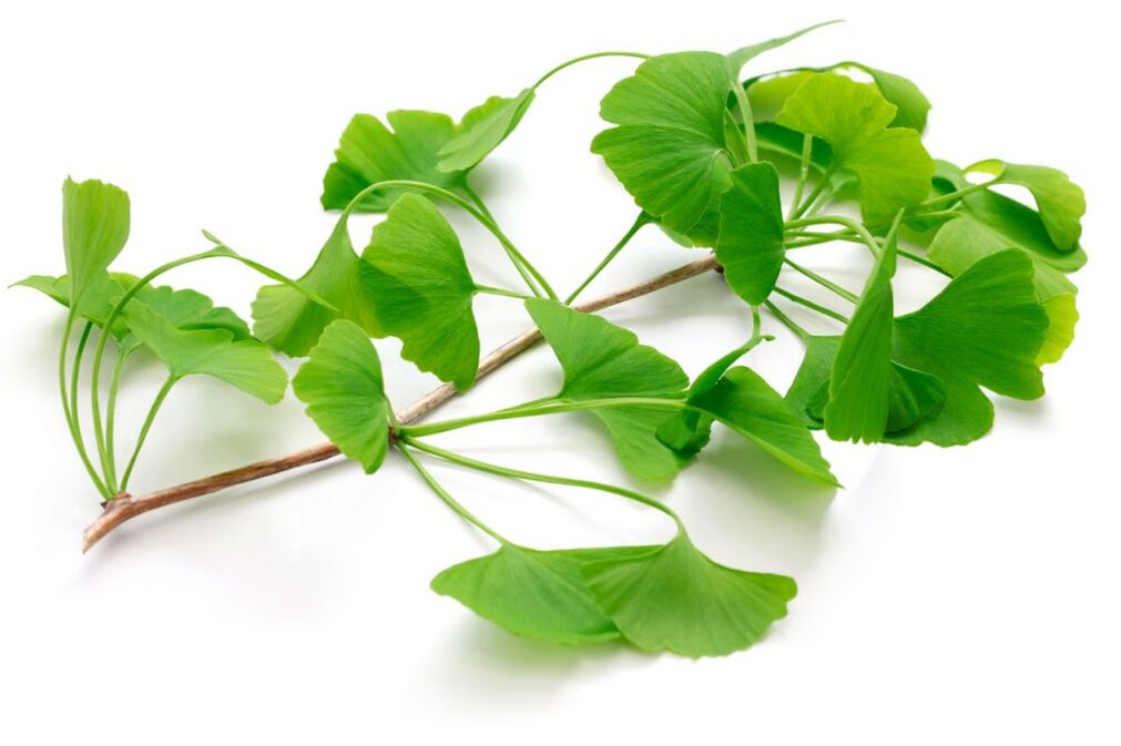 ginkgo biloba v kapsulách Insuvit